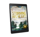Storming His Heart eBook